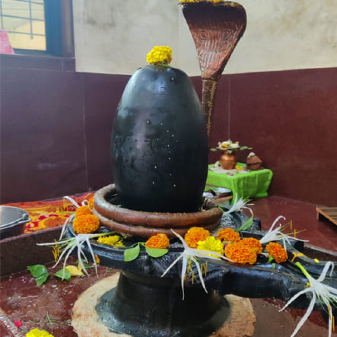 Sacred Vedic puja rituals performed in Trimbakeshwar Nashik for Kaal Sarp Dosh, Narayan Nagbali and Pitra Dosh nivaran